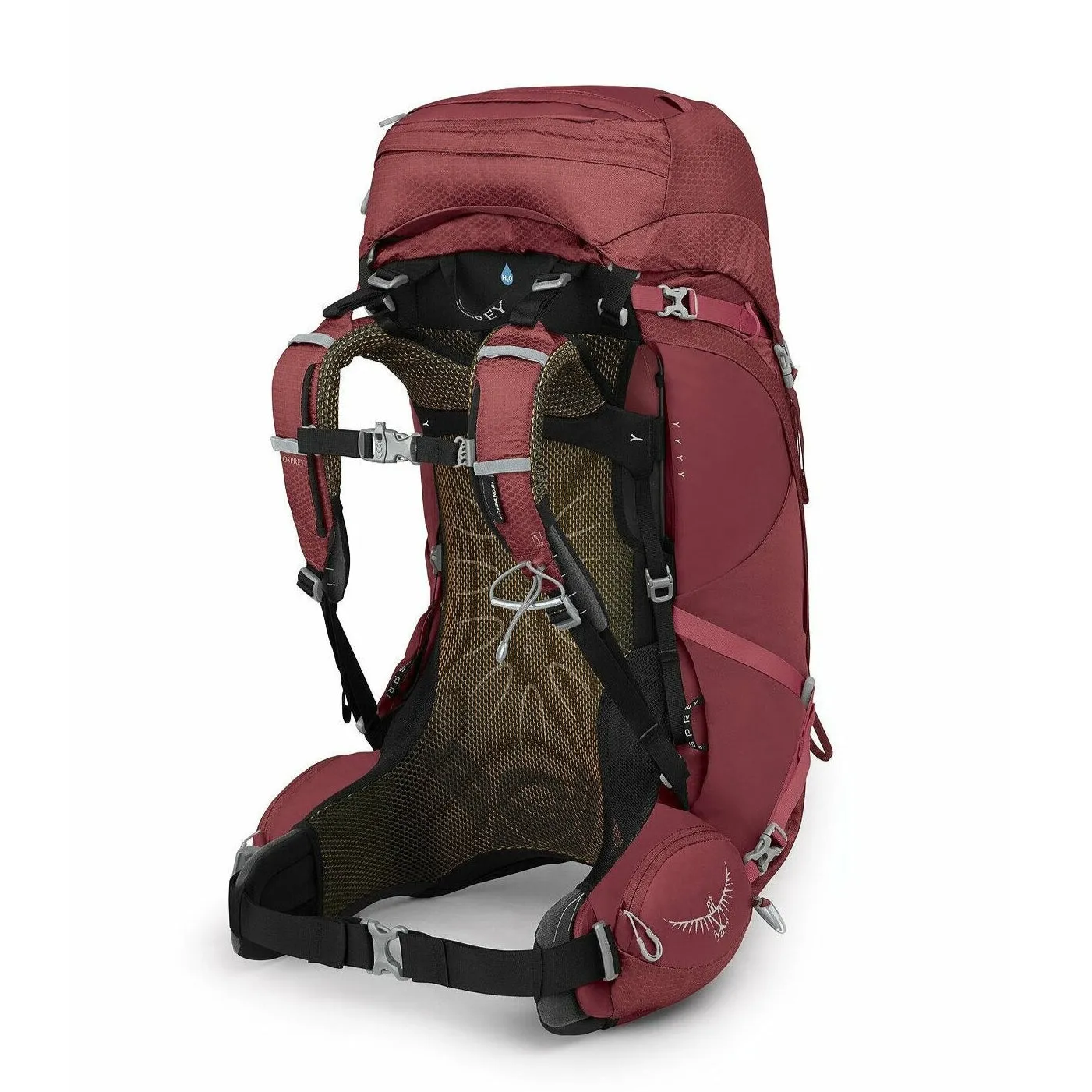 Aura AG 50 - Women