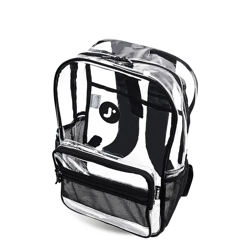 Clear Laptop Backpack