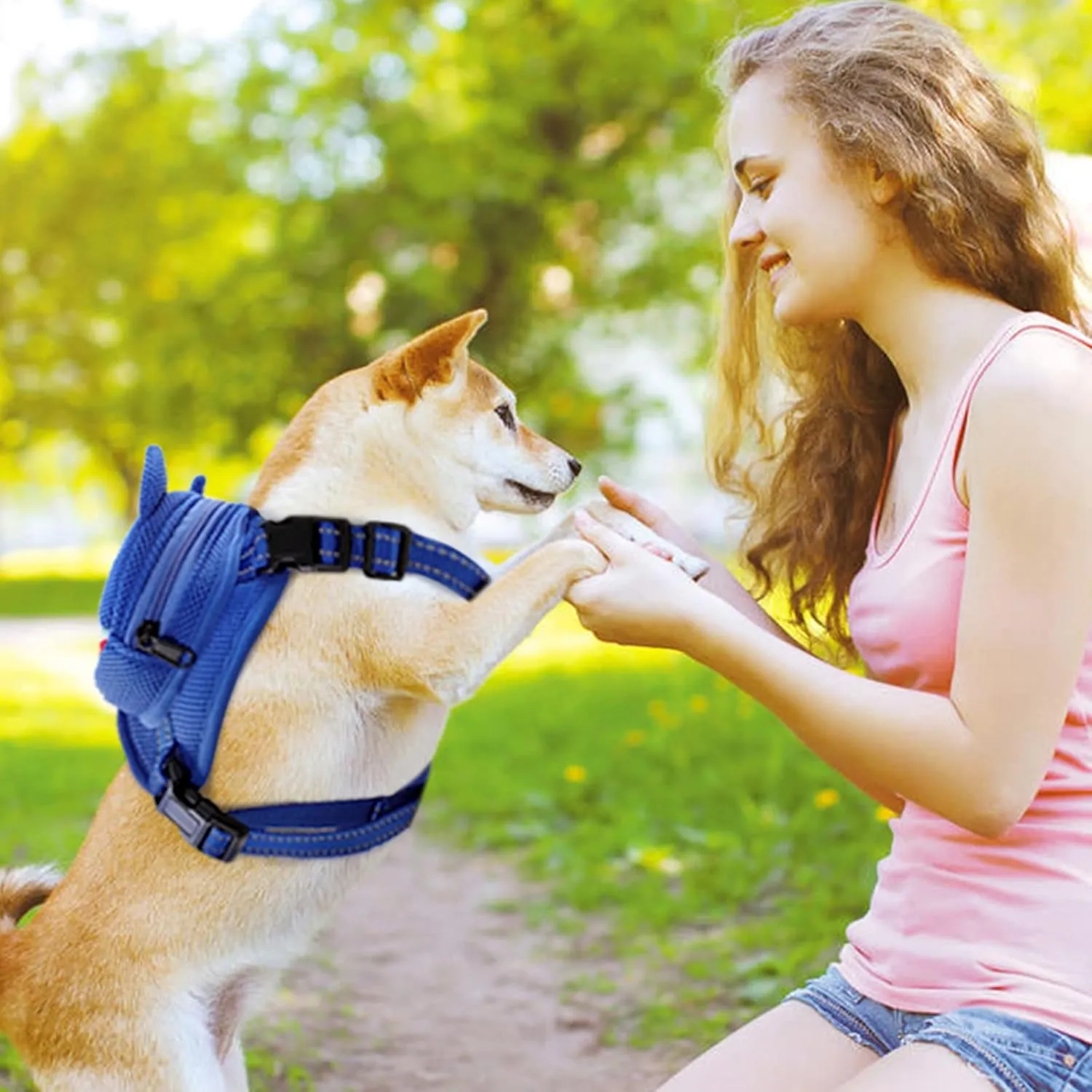 Dog Harness with Backpack, Adjustable Dog Backpack Harness for Small Medium Dogs, No-Pull Breathable Backpacks for Dogs to Wear, for Traveling, Hiking, Camping, Training, Blue L