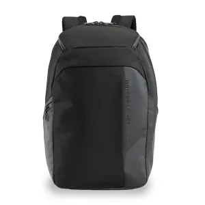 Excellent Cargo Briggs ZDX Convenient delivery & Backpack Riley