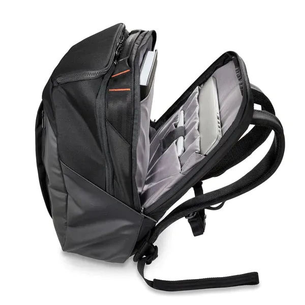 Excellent Cargo Briggs ZDX Convenient delivery & Backpack Riley