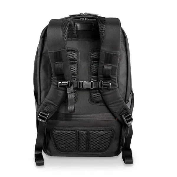 Excellent Cargo Briggs ZDX Convenient delivery & Backpack Riley