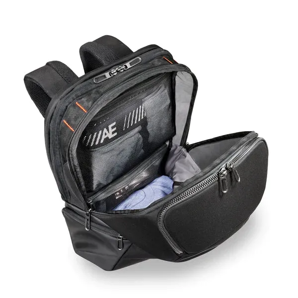 Excellent Cargo Briggs ZDX Convenient delivery & Backpack Riley