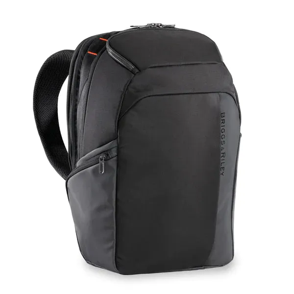 Excellent Cargo Briggs ZDX Convenient delivery & Backpack Riley