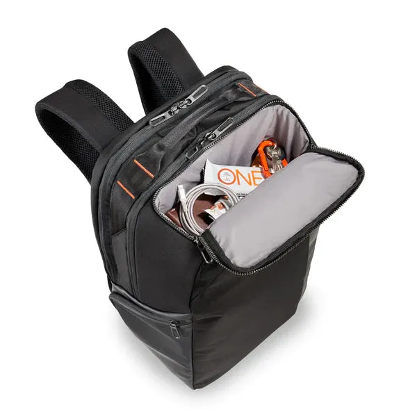 Excellent Cargo Briggs ZDX Convenient delivery & Backpack Riley