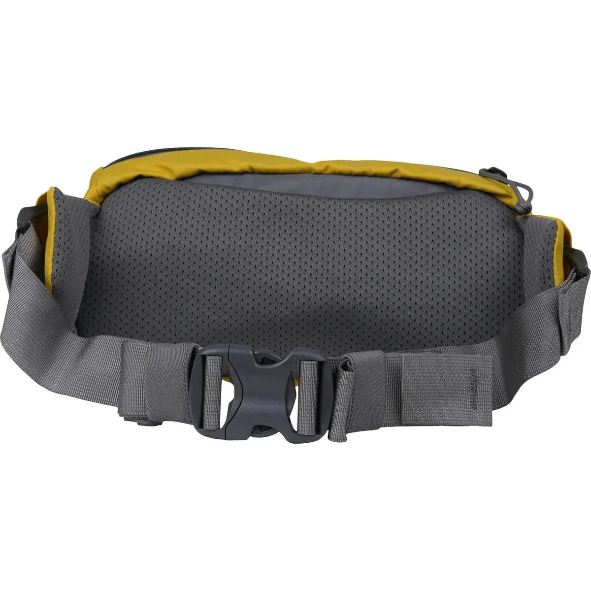 Forager Hip Pack 2.5L - Past Season