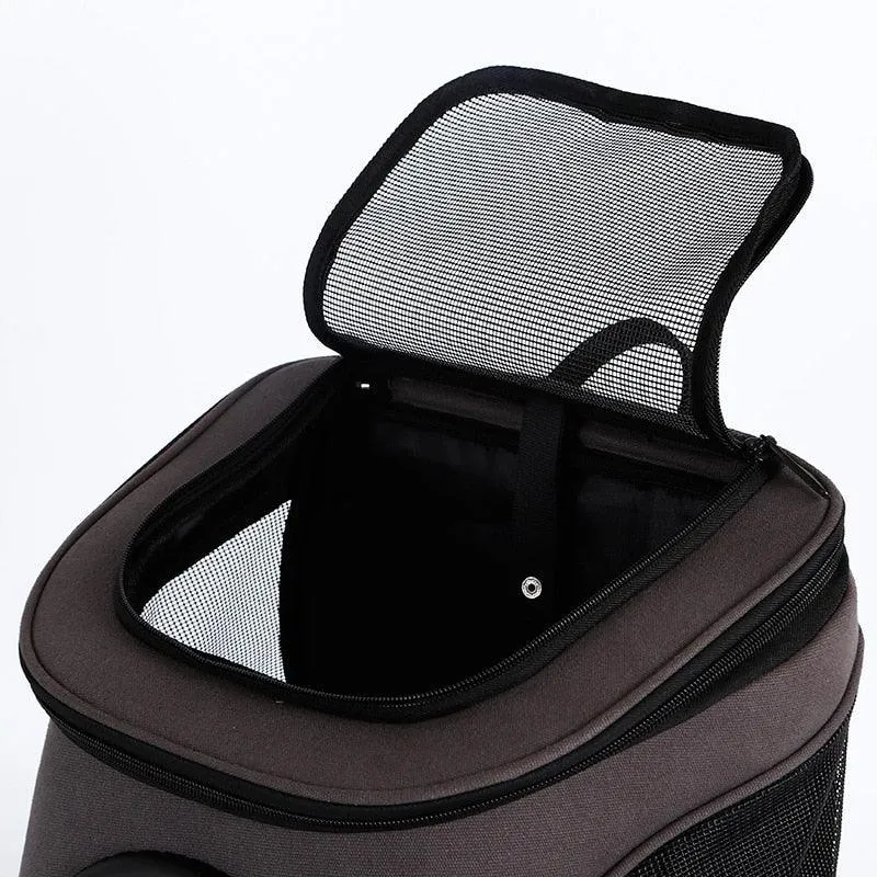 Large Pet Backpack Portable Space Capsule Breathable Window Cat Carrier Dog Bag Pets Products Accessories Portable Travel Bags