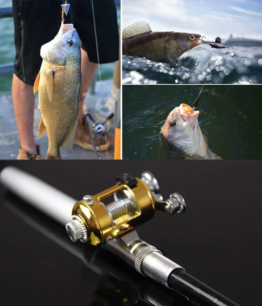 LELEBEAR 2023 Pocket Size Fishing Rod, Pen Fishing Pole, Portable Telescopic Mini Folded With Reel (Silver)