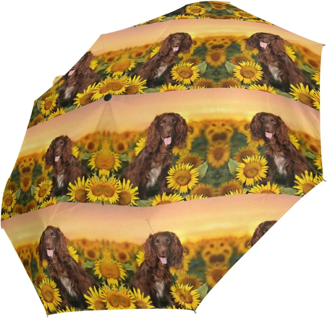 Oyihfvs Automatic Windproof Waterproof Umbrella, Folding Umbrella Reinforced Portable Compact Anti-UV Sun rain Auto Open/Close
