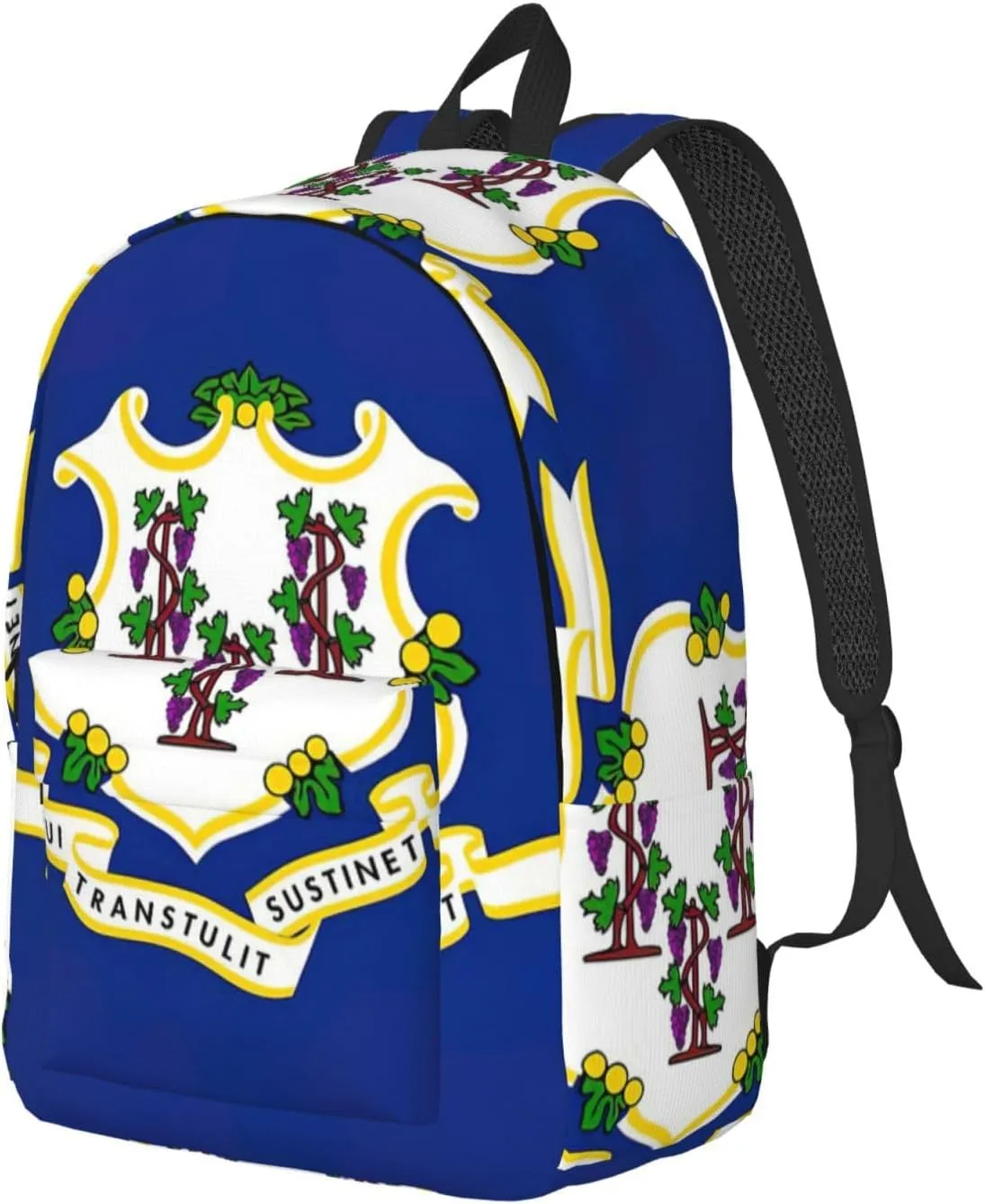 QIN&ZHENG Connecticut State Flag Print Personalized Canvas Backpack Stylish Rucksack Novelty Casual Daypack for Travel Work Small