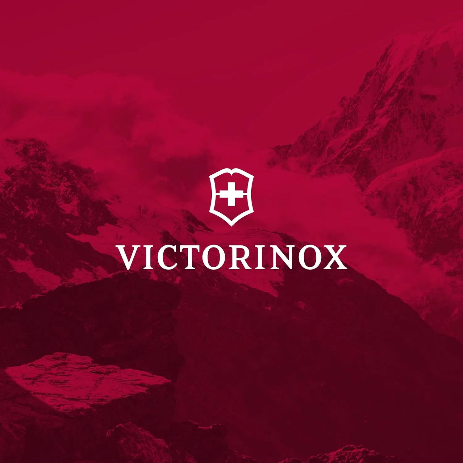 Victorinox Altmont Original Vertical-Zip Laptop Backpack - Travel Backpack for 17" Laptop - Premium Travel Accessory - 24 Liters, Blue